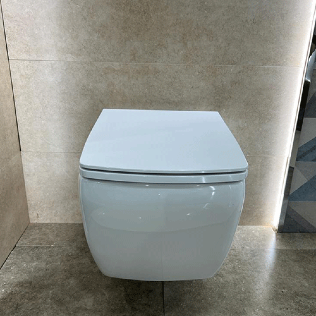 Bathroom Toilet Design 7